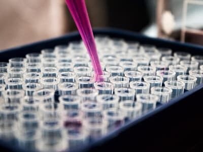 Chemical Industry